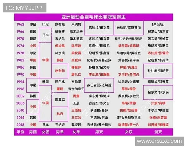 杭州羽毛球队进攻策略分析与比赛表现评估