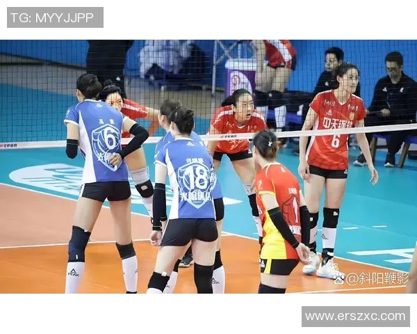 最新排球比赛经验TOP10：南京排球队领跑