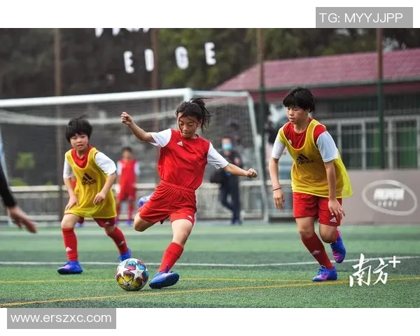 足球焦点：杭州足球队的团队协作探讨