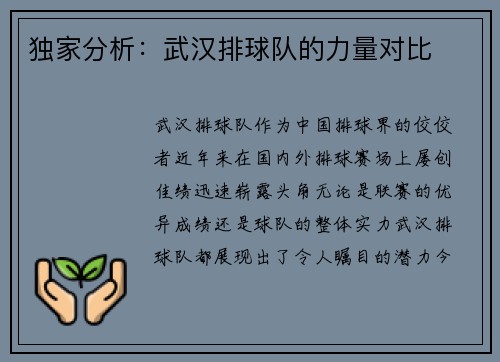 独家分析：武汉排球队的力量对比