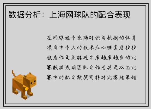 数据分析：上海网球队的配合表现
